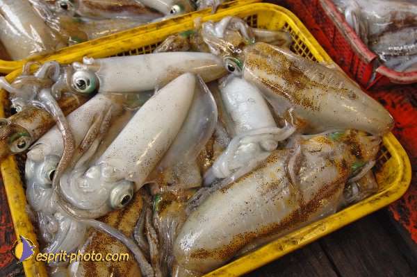 Nom de l'image : D2090837_1 — Description :  Enfants du Mékong