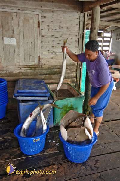 Nom de l'image : D2091025_1 — Description :  Enfants du Mékong