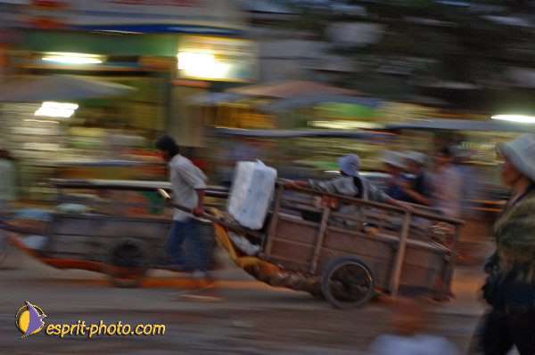Nom de l'image : D2091610_1 — Description :  Enfants du Mékong