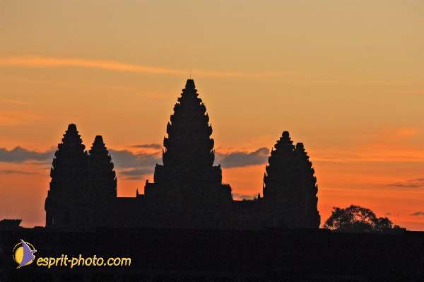 Nom de l'image : D2099858_1 — Description :