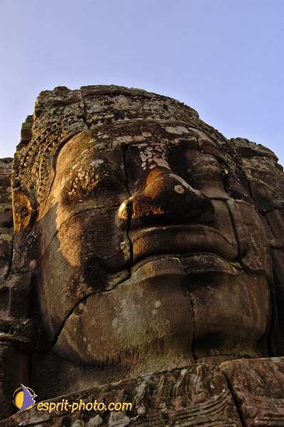 Nom de l'image : D2099932_1 — Description :