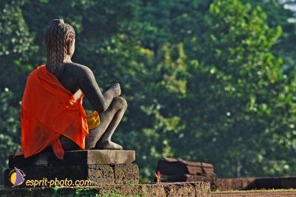 Nom de l'image : D2100073_1 — Description :