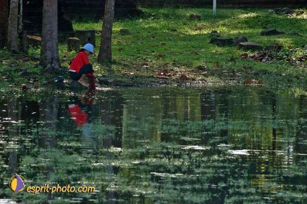 Nom de l'image : D2100135_1 — Description :