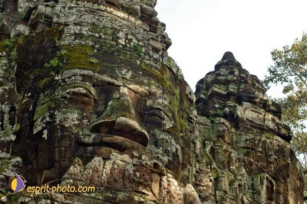 Nom de l'image : D2100156_1 — Description :