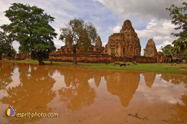 Nom de l'image : D2100532_1 — Description :