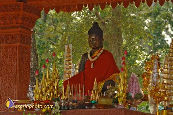 Nom de l'image : D2100844_1 — Description :