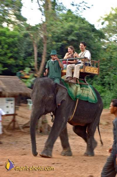 Nom de l'image : D2100942_1 — Description :