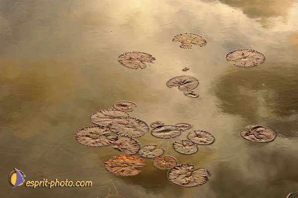 Nom de l'image : D2101006_1 — Description :