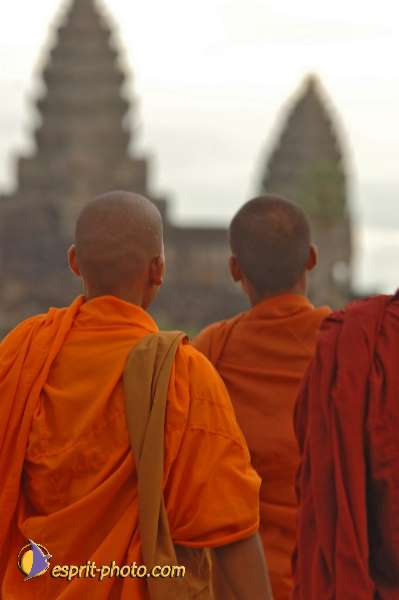 Nom de l'image : D2101030_1 — Description :