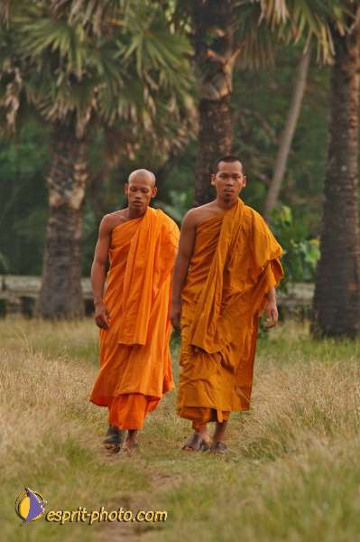 Nom de l'image : D2101060_1 — Description :