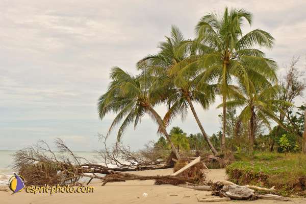 Nom de l'image : D2088448_1 — Description :  Enfants du Mékong