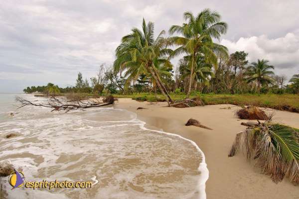 Nom de l'image : D2088460_1 — Description :  Enfants du Mékong