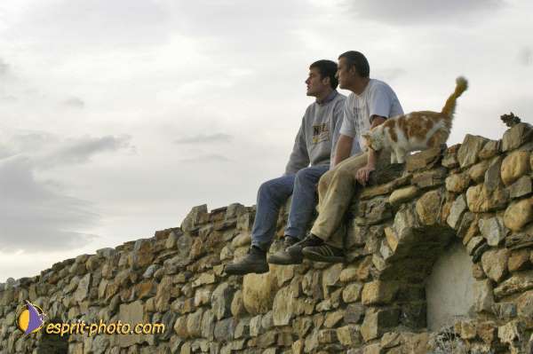 Nom de l'image : EG-300-9184-1 — Description :