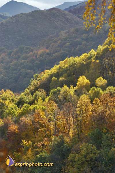 Nom de l'image : EG-300-9210-1 — Description :