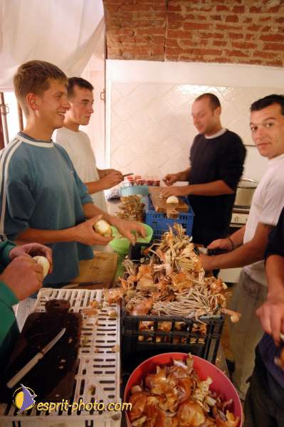 Nom de l'image : D1074889 — Description :