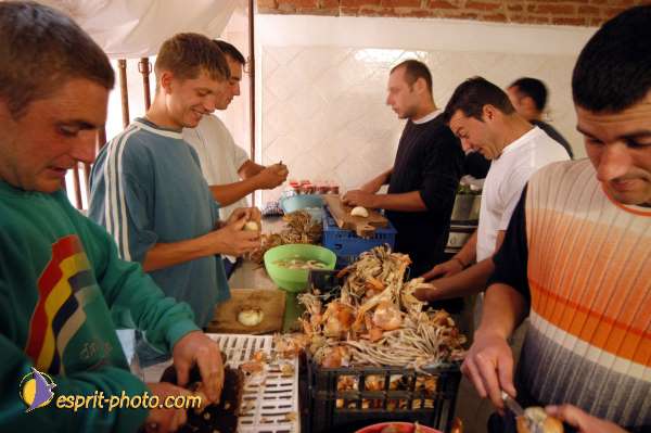 Nom de l'image : D1074898 — Description :