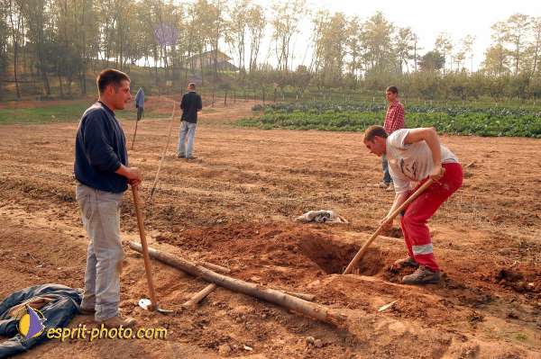 Nom de l'image : D1075102 — Description :