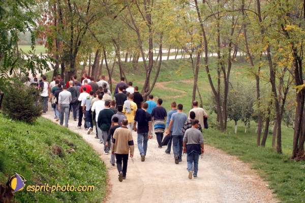 Nom de l'image : D1075774 — Description :