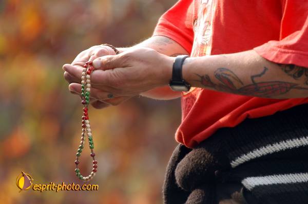 Nom de l'image : D1076272 — Description :