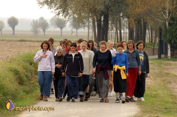 Nom de l'image : D1076809 — Description :