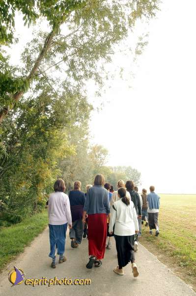 Nom de l'image : D1076941 — Description :