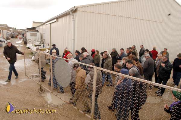 Nom de l'image : D1107081-01 — Description :