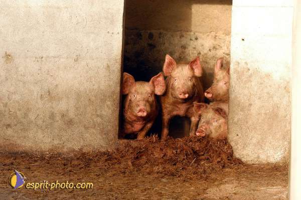 Nom de l'image : D1107244-01 — Description :