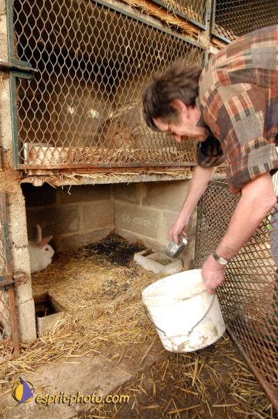 Nom de l'image : D1107319-01 — Description :