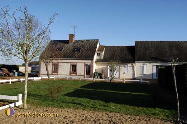 Nom de l'image : D1107459-01 — Description :