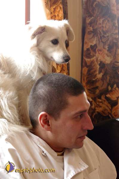 Nom de l'image : D1107591-01 — Description :