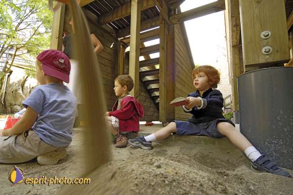 Nom de l'image : D2028650 — Description :