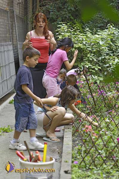 Nom de l'image : D2029327 — Description :