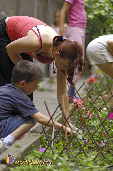 Nom de l'image : D2029339 — Description :