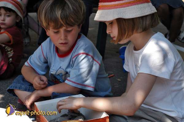 Nom de l'image : E00051861-1 — Description :