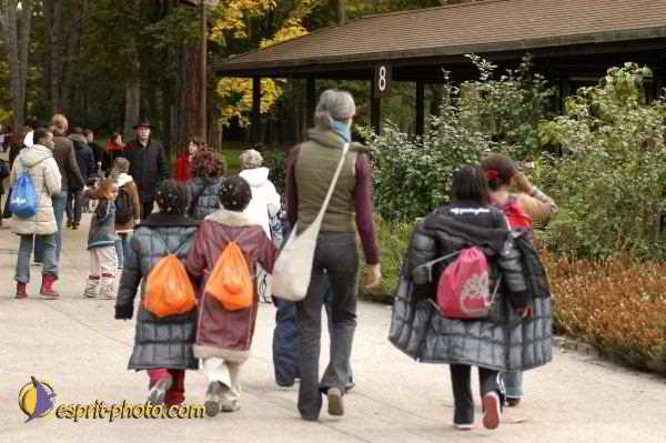 Nom de l'image : E00016247-1 — Description :  Toussaint 2004 - Messe avec les sans abri
