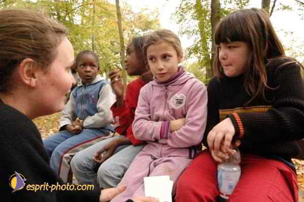 Nom de l'image : E00016488-1 — Description :  Toussaint 2004 - Messe avec les sans abri