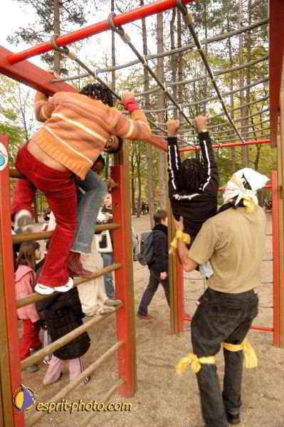 Nom de l'image : E00016626-1 — Description :  Toussaint 2004 - Messe avec les sans abri