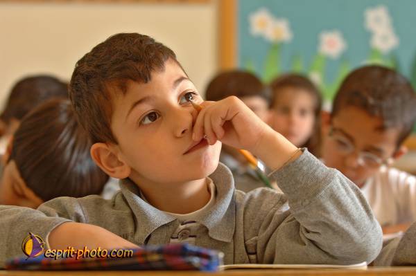 Nom de l'image : D2158390_1 — Description :