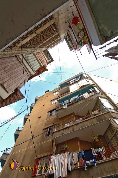 Nom de l'image : D2159618_1 — Description :