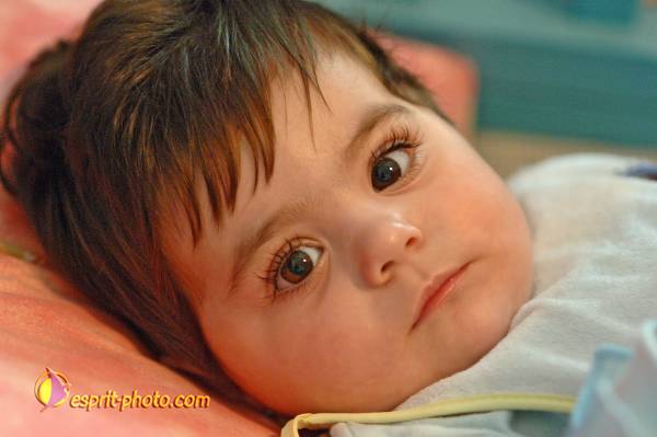 Nom de l'image : D2159959_1 — Description :