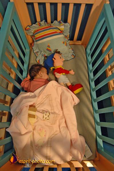 Nom de l'image : D2159972_1 — Description :