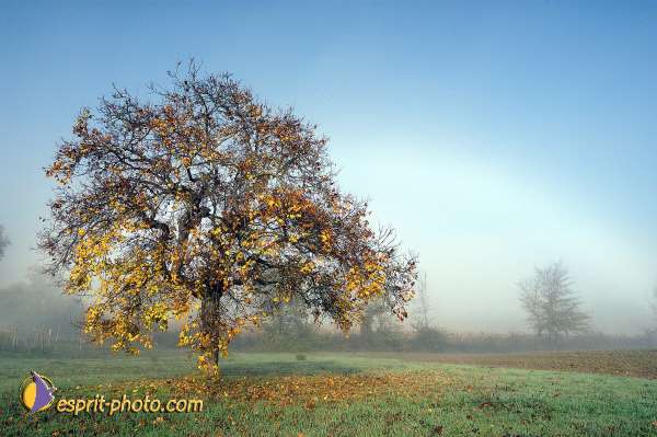 Nom de l'image : D1087122-nef-01 — Description :