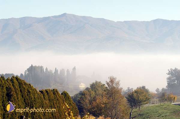 Nom de l'image : D1087183-01 — Description :