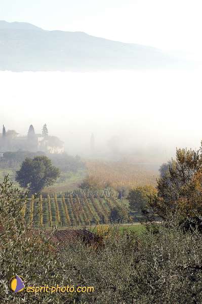 Nom de l'image : D1087261-01 — Description :