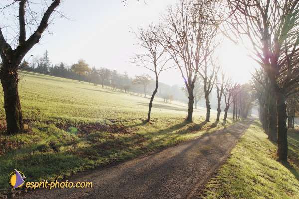 Nom de l'image : D1092764-nef — Description :