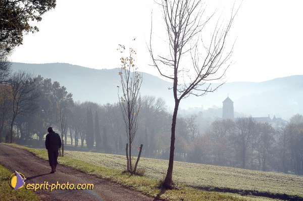 Nom de l'image : D1092810-01 — Description :