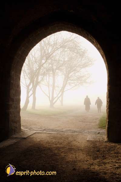 Nom de l'image : D1101474-nef — Description :