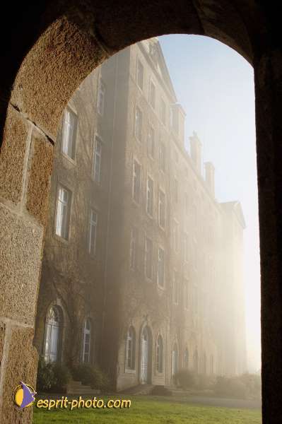 Nom de l'image : D1101605-nef — Description :