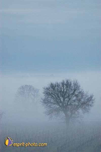 Nom de l'image : EG-300-1449-01 — Description :