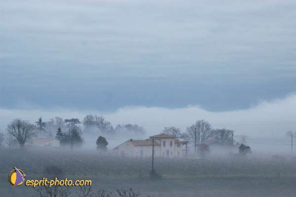 Nom de l'image : EG-300-1450-01 — Description :